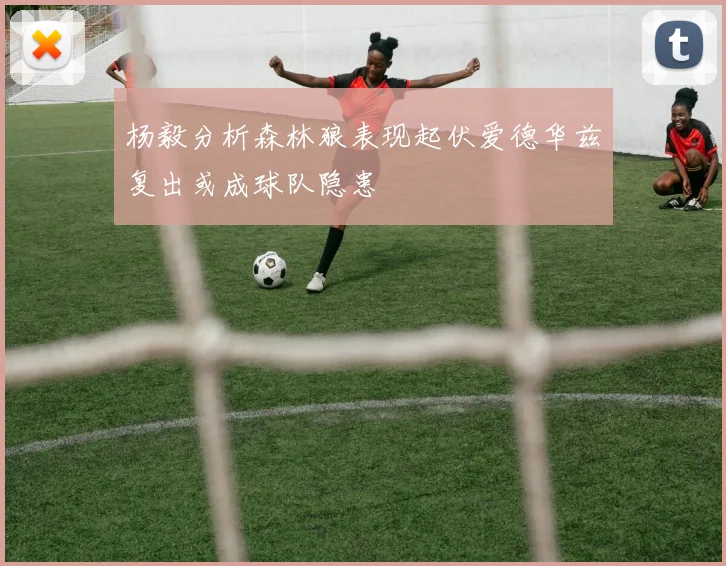 杨毅分析森林狼表现起伏爱德华兹复出或成球队隐患