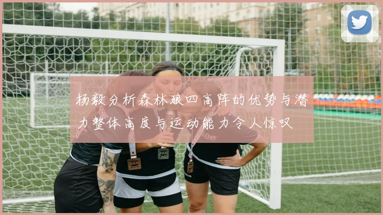 杨毅分析森林狼四高阵的优势与潜力整体高度与运动能力令人惊叹